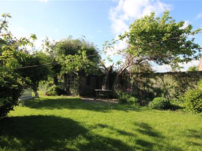 Picture 23